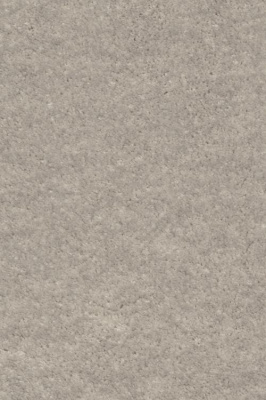 Ковролин Associated Weavers Euphoria 39