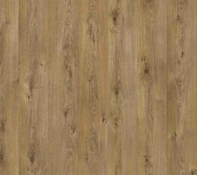 Ламинат Balterio Vitality Diplomat dk583 Дуб Лакированный натуральный