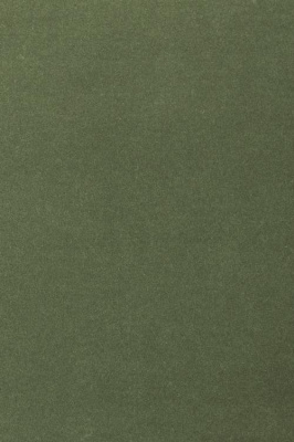 Ковролин Associated Weavers Velvet Oinone 24