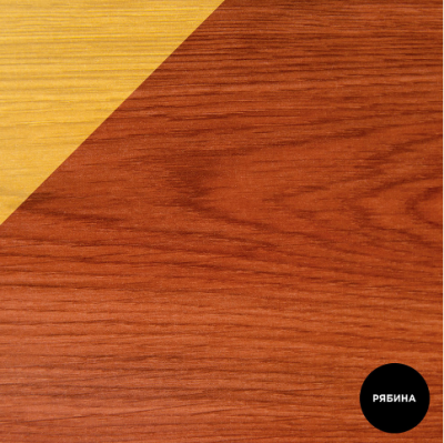 Pinotex Classic "Рябина" 1л
