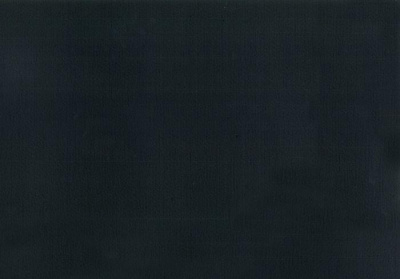 Линолеум Tarkett Omnisports Speed Black