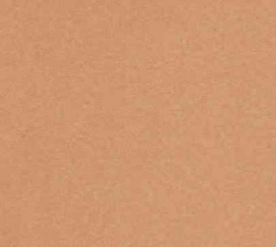 Ковролин ITC Rossini 030