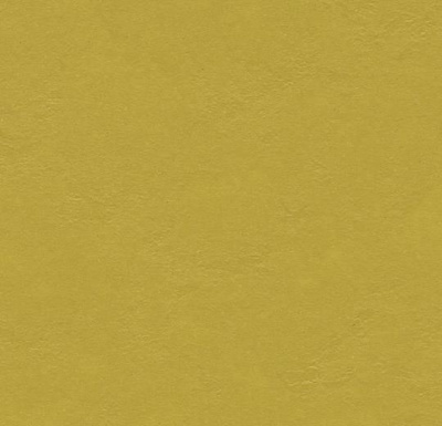 Мармолеум Forbo Modular Colour T3362