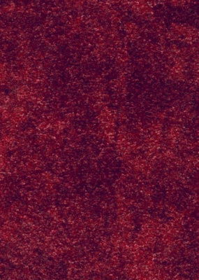 Ковролин Associated Weavers Palio 11