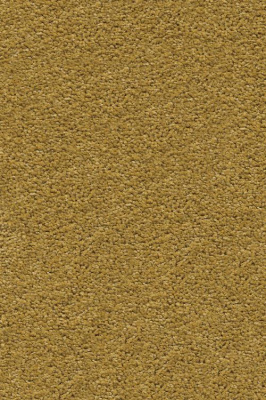 Ковролин Associated Weavers Vivendi Vigour 54