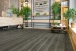SPC ламинат Alpine Floor Grand Sequoia Каддо Eco 11-20 SPC ламинат Alpine Floor Grand Sequoia Каддо Eco 11-20