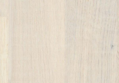 Плинтус Tarkett Ash Frost (60x16)