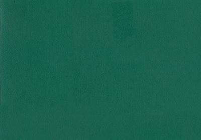 Линолеум Tarkett Omnisports Reference Forest Green