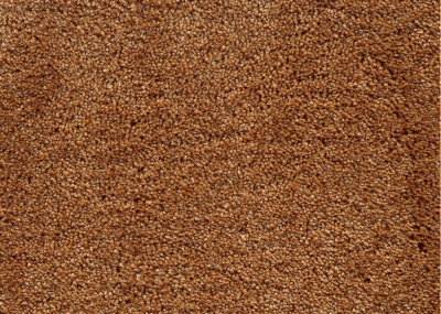 Ковролин Associated Weavers Fedone 48