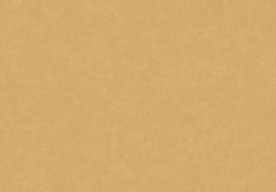 Линолеум Tarkett Acczent Esquisse 05