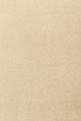 Ковролин Associated Weavers Velvet Oinone 34