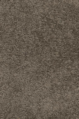 Ковролин Associated Weavers Vivendi Vigour 44